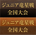 ジュニア竜星戦全国大会