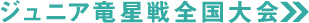 ジュニア竜星戦 全国大会